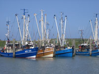F-Hafen